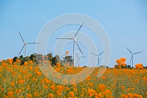 Wind turbine on grassy yellow field against cloudy blue sky in rural area during sunset. Offshore windmill park with