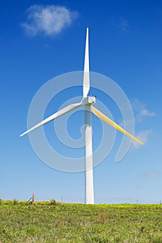 Wind turbine, green power, electricity generator