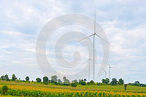 Wind turbine made Renewable Energy on field, blue sky and cloud background at Chaiyaphum Thailand