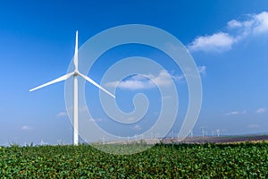 Wind turbine on the meadow on background of skies. Colorful pict
