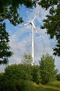 Wind turbine in a natural landscape near Magdeburg in Germany