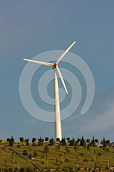 Wind turbine in a park with blue sky