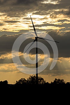Wind turbine power generator at sunset