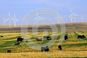 Wind Turbine Renewable Energy Alberta