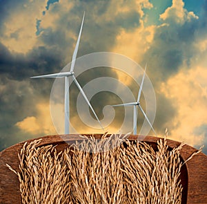 Wind turbine with rice paddy foreground, Sustainable