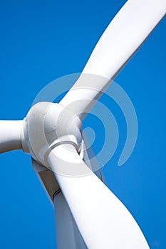 Wind turbine rotor