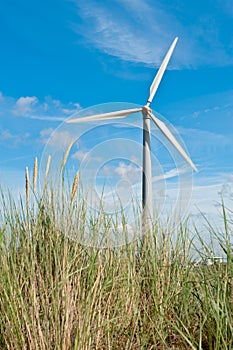 Wind turbine and sand dunes