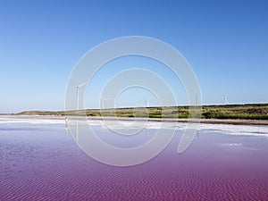 Wind turbine on the shores of Pink Lake