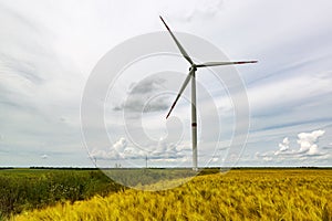 Wind turbine on the wheat field