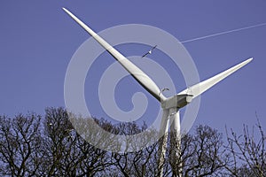 Wind turbine wild bird danger photo
