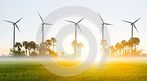 Wind turbine or wind power Translated into electricity, environmental protection Make the world not hot