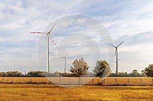 Wind turbine yellow field nature concept