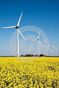 Wind turbine in a yellow flower field