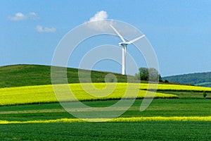 Wind turbine on a yellow-green field