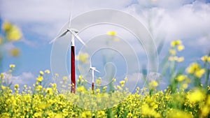 Wind turbine in yellow rapeseed field against a blue sky.