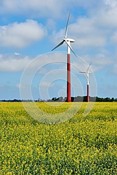 Wind turbine in yellow rapeseed field on a sunny day