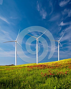 Wind Turbines photo