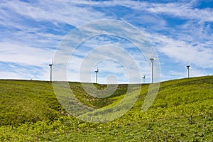 Wind Turbines photo