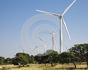 Wind turbines photo