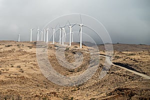 Wind Turbines Above the Coast