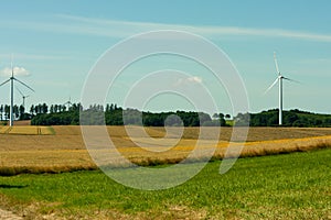 Wind turbines against the background of trees, fields with grain, meadow on a sunny day