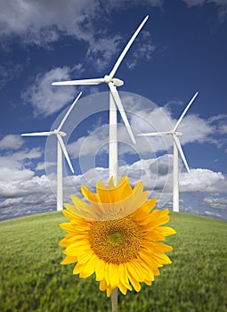 Wind Turbines Against Sky with Bright Sunflower