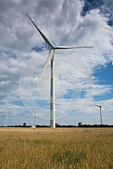 Wind Turbines in an agricultural field