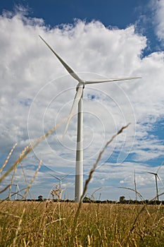 Wind Turbines in an agricultural field