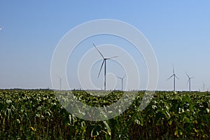 Wind turbines and agricultural field. Energy production, clean and renewable energy