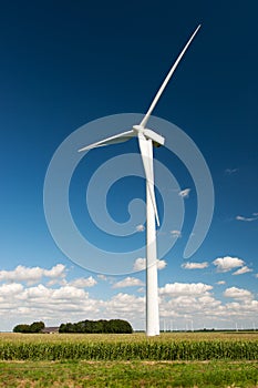 Wind turbines in agriculture landscape