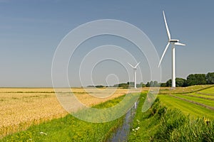 Wind Turbines in agriculture landscape