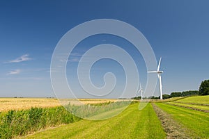 Wind Turbines in agriculture landscape