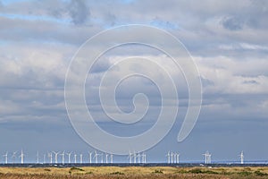 Wind turbines along the Swedish coast