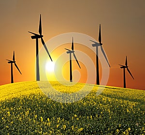 Wind turbines alternative energy source