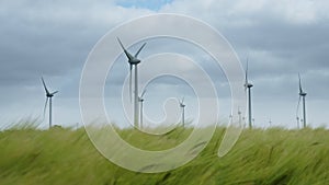 Wind Turbines on a barley field in East Frisia on a windy summer day in 2023. Barley Field moving in the strong wind in