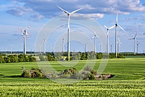 Wind turbines behind a green corn field