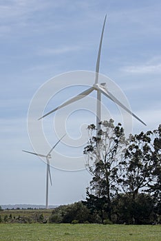 Wind Turbines Behind Trees