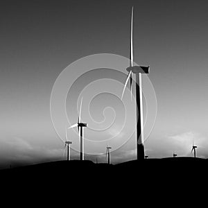 Wind turbines in black and white, great view