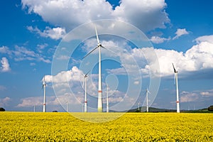 Wind turbines in a blooming canola field