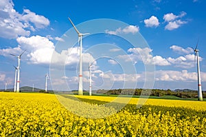 Wind turbines in a blooming rape field