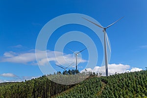 Wind turbines on blue sky photo
