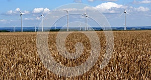 Wind Turbines with Blue Sky, near Caen , Wheat Field in. Normandy in France