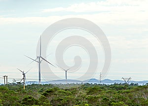 Wind turbines with clouds in the background and trees in the foreground.