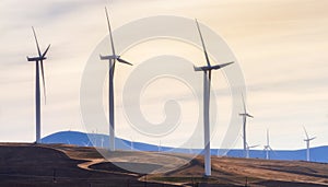 Wind Turbines in The Columbia River Gorge