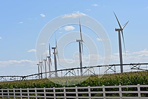 Wind Turbines in Corn Field
