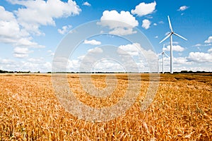 Wind turbines in countryside