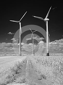 Wind turbines in the countryside