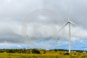 Wind Turbines in Eastern Cape, South Africa