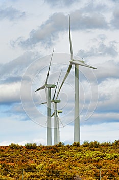 Wind Turbines in Eastern Washington State