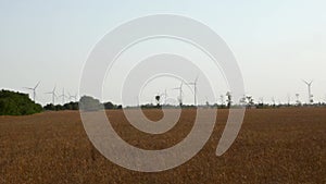 Wind turbines energy converters on wheat field background with clear blue sky sunny day. Local eco friendly wind farm 4K